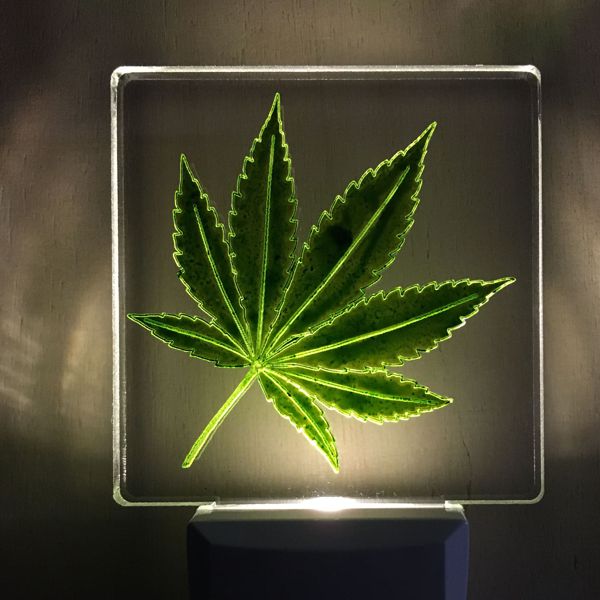Cannabis leaf nightlight
